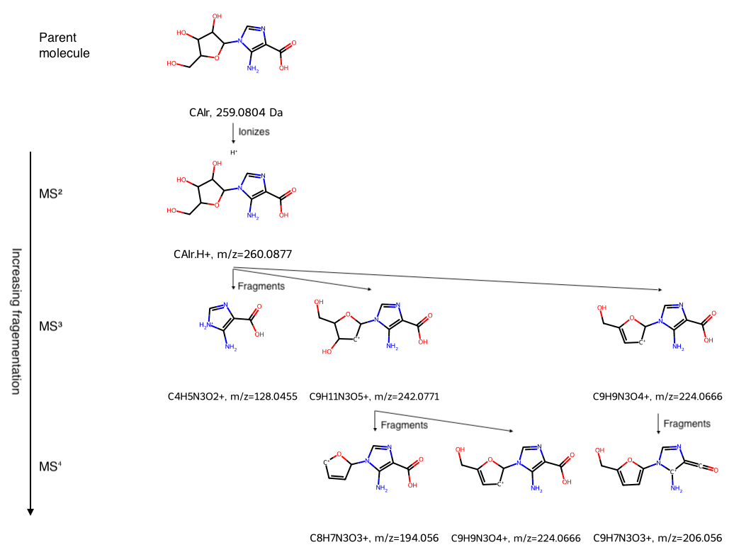 Annotated mass spectrometry fragmentation tree using the function mass_spec_frag_tree in this blog post