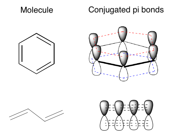 Molecules and their conjugated pi bonds